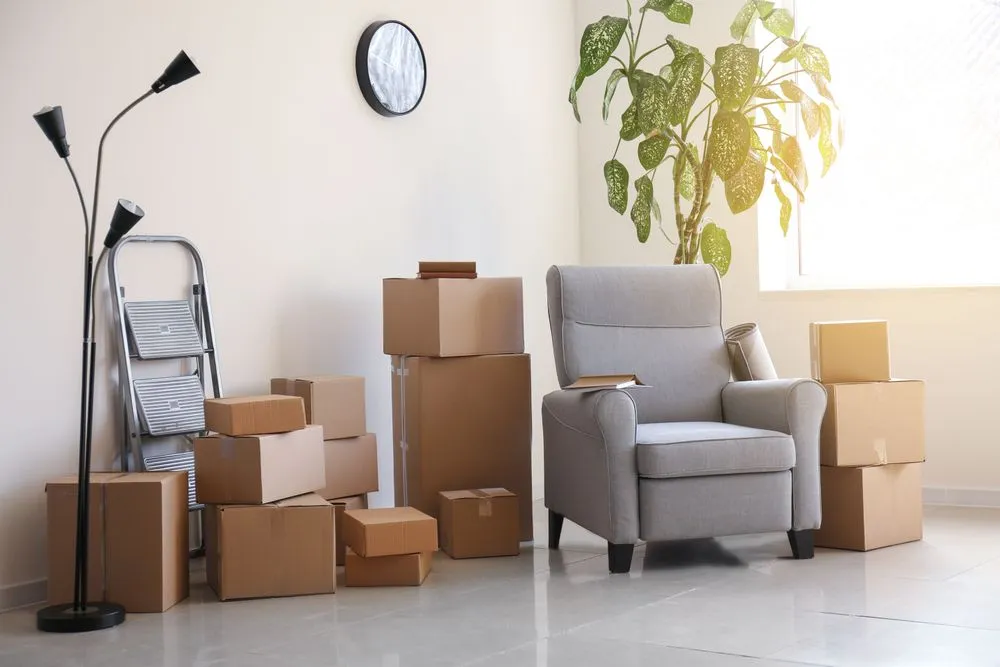 Furniture & Storage